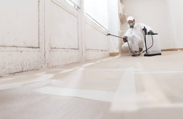 24/7 Emergency Mold Inspection experts in Reading, MA
