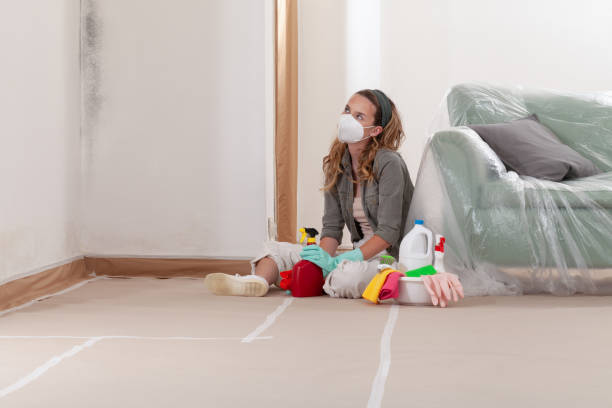 Reliable Mold Inspection contractor in Reading, MA by WQB Mold Removal